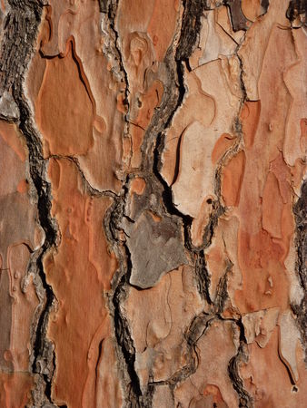 2009_0905GarriguesBassessuite0065