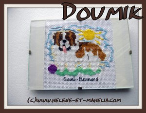 3 doumik_saldec21