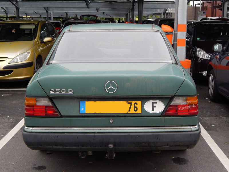 Mercedes250DW124ar