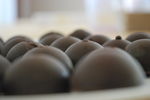 chocolats__15_