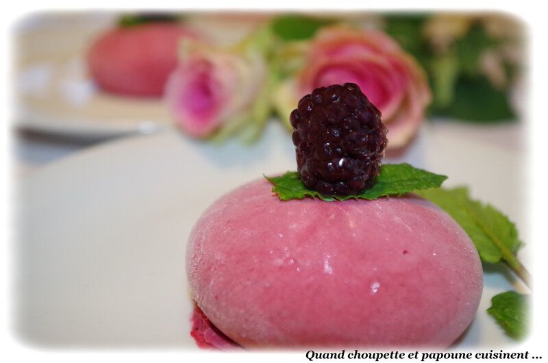 dessert glacé aux fruits rouges-9494