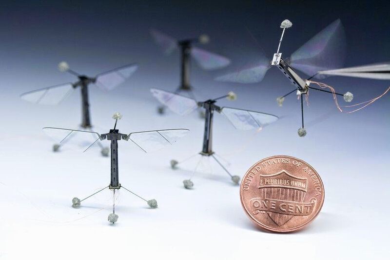 fly-sized-insect-robot_66954_990x742