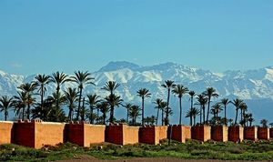 seminaire-entreprise-marrakech-1[1]