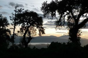 Ngorongoro Sopa Lodge (19)
