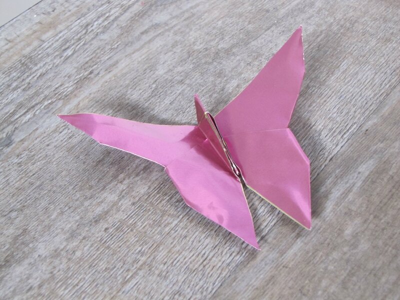 131212 origami papillon