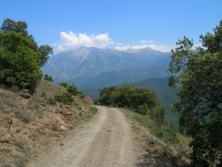 Le_Canigou_12_06_2006