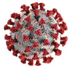 Mise au point sur les données périopératoires relatives au COVID-19 coronavirus-2 et syndrome respiratoire aigu sévère (SARS-CoV-2) - Anesthesia Patient Safety Foundation