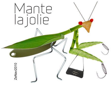 Mante_la_Jolie