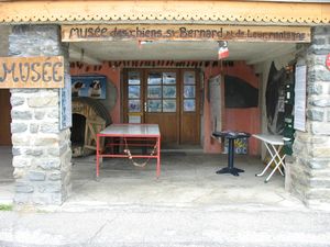 IMG_1305