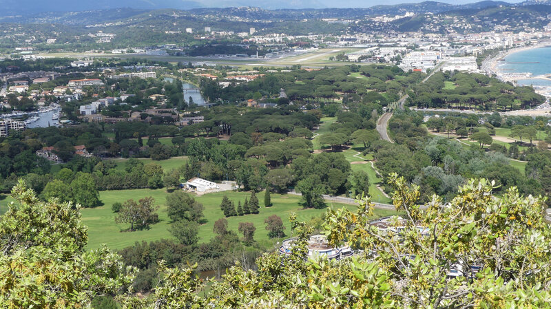 P1020218 (2)