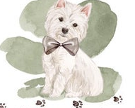 westie22
