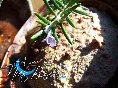 TERRINE_POULET16