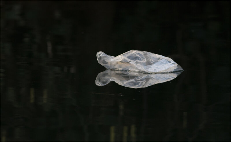 rivière plastique tortue 3 220119