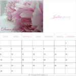 calendrier juillet 2012