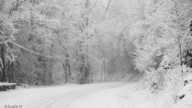 Photos JMP©Koufra 12 - Cornus - Neige - 28012019 - 0066