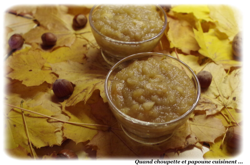 compote de pommes aux épices-7080
