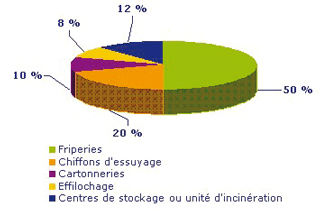 camembert_linge