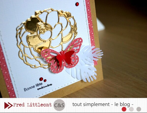 Carte mai détail Fred Littlecat