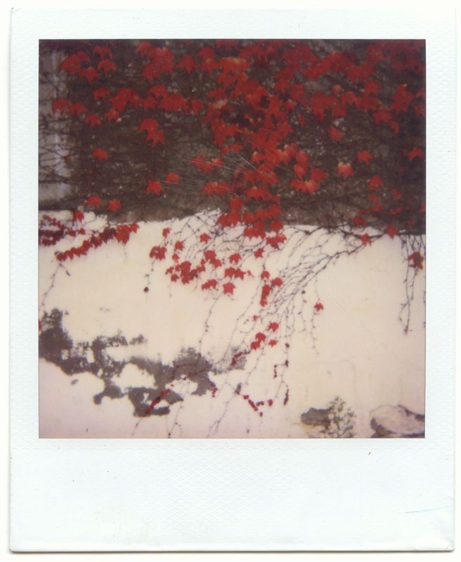 automne