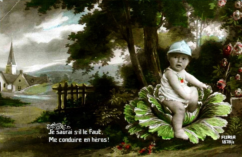 Graines de Poilus 70