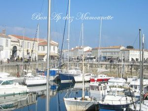 balade à l'île de Ré jeudi 1 er mars 2012 007