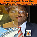 Bruxelles: Mise en garde du CODE aux associations camerounaises invitées par l'ambassadeur du Cameroun le 11 janvier prochain