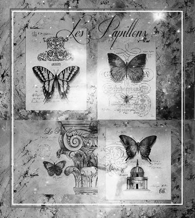 papillon collage pixlr