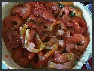 Tarte aux tomates et graines de pavot gh