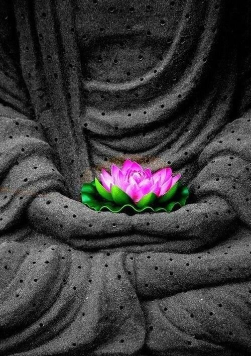 bouddha au lotus