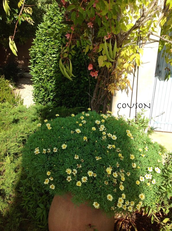 photo-2466