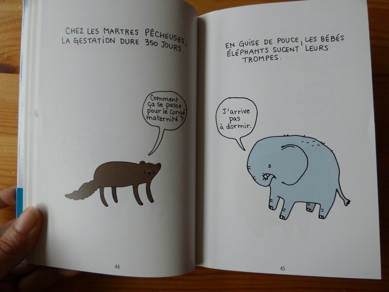 La tortue qui respirait par les fesses (2)