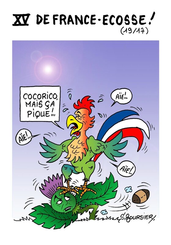 XV de France Ecosse ça pique coul web