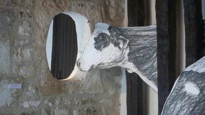 la vache