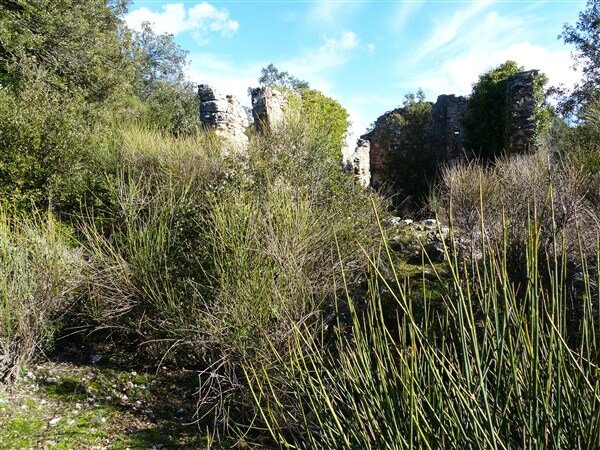 P1000773