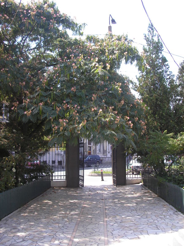 P8050043