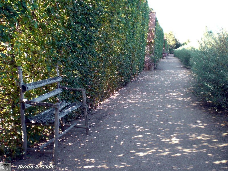 Banc en châtaignier devant le canal du jardin de l'Isle