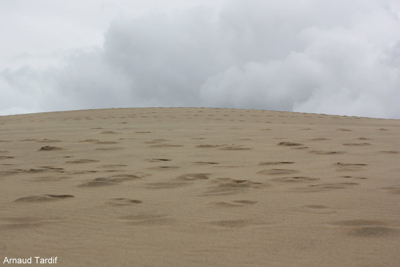 00237 Bassin d'Arcachon Juin 2021 - La Dune du Pilat