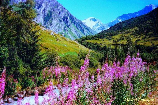 1125) vélo vers Laisonnay d'en Bas (Vanoise)