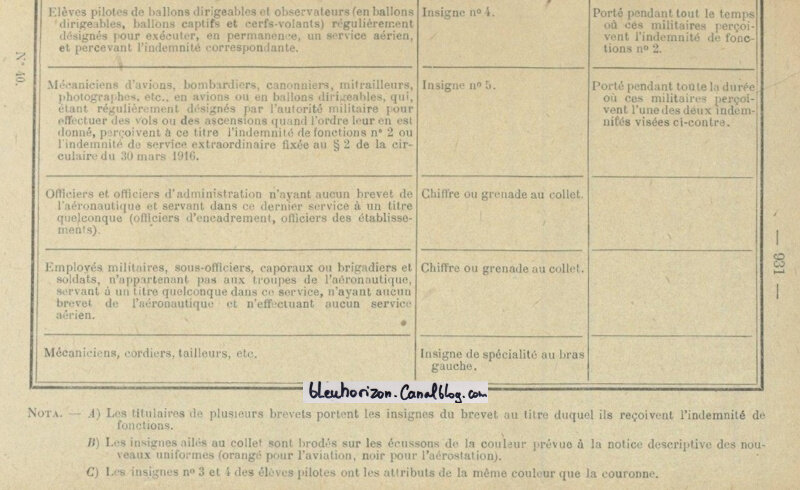 aviation insignes (5)log