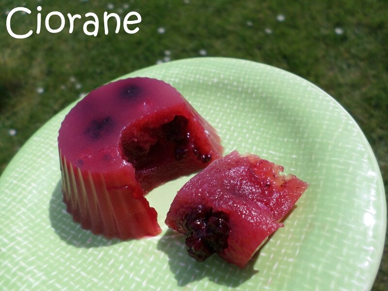 gelee-compote-fruits-rouges