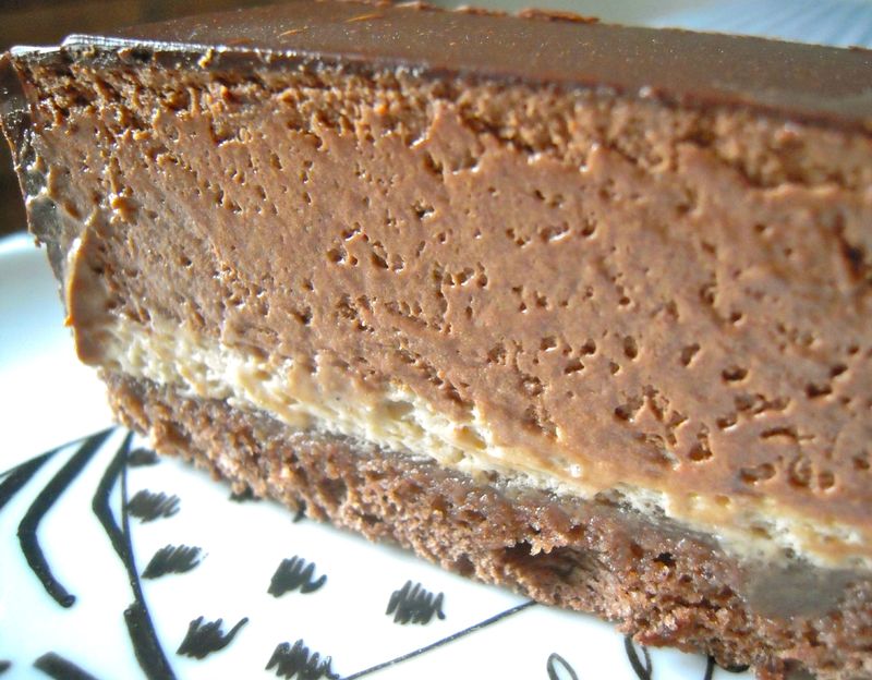 entremets chocolat noir - marron 002