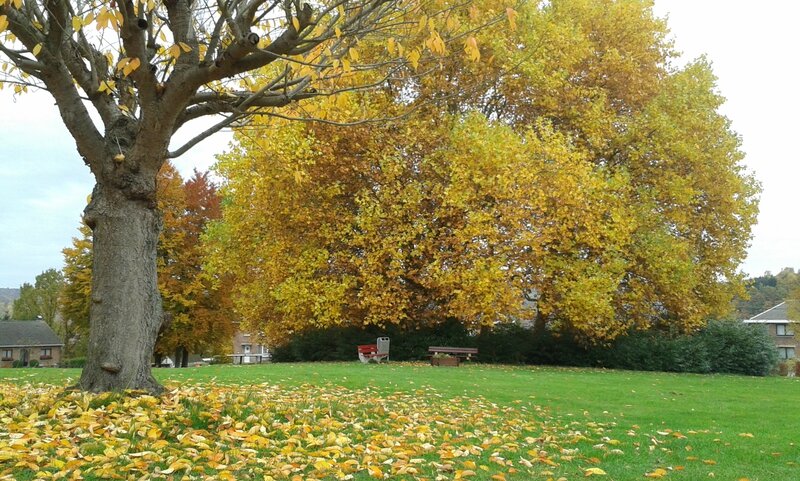 20151028_104245