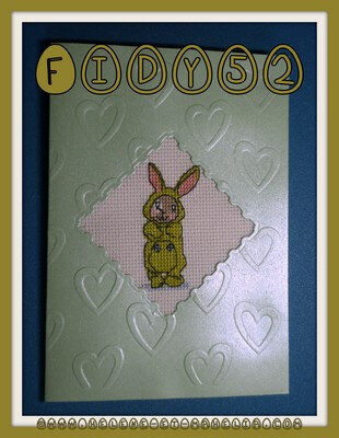 30 fidy52 BE_petit bunny_2