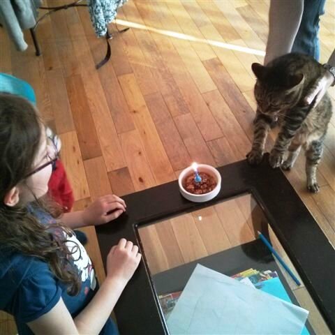 Chaton Couillon a 10 ans ©Kid Friendly