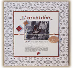 10___200311___L_orchid_e