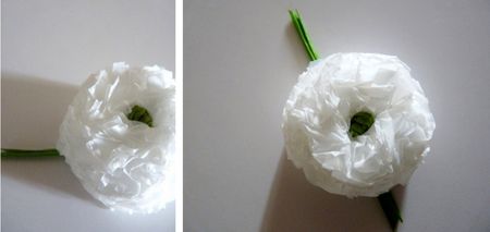 fleur_1