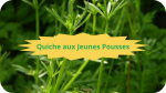 8 GAILLET GRATTERON(1)Quiche aux jeunes pousses-modified