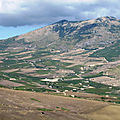 <b>Sicile</b> - Palerme et le Val di Mazara (24/35). Monti di Gibellina et agriculture sicilienne.