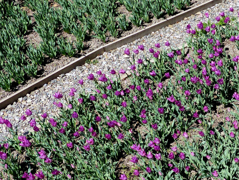 P1480946