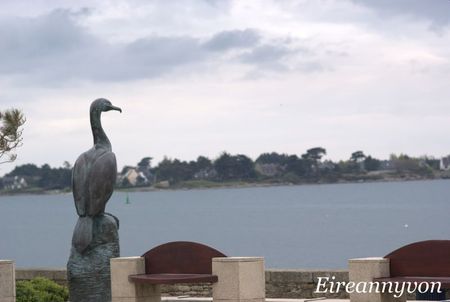 Oiseau